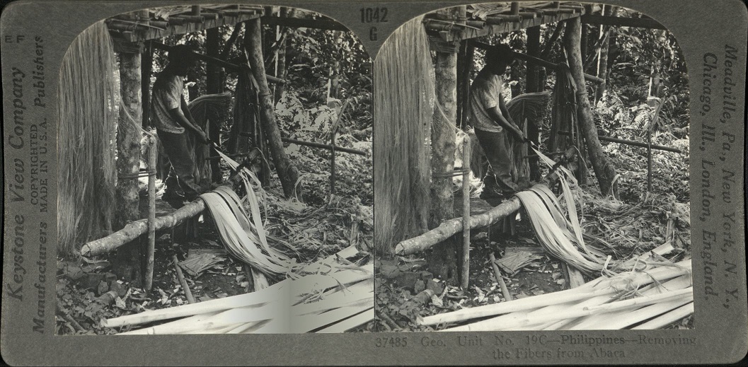 Geo. Unit No. 19C – Philippines – Removing the Fibers from Abaca.